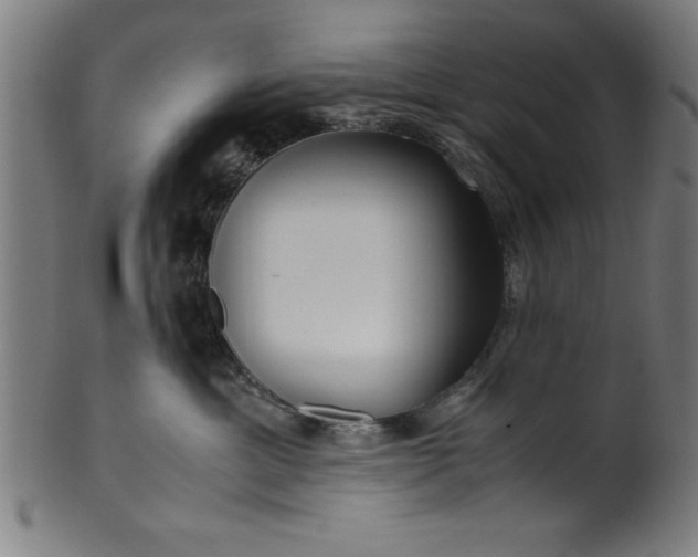 X0000099930429200806061458