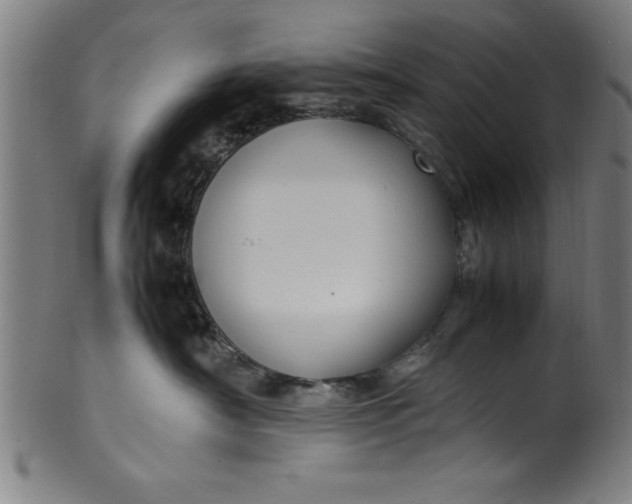 X0000099930430200806061458