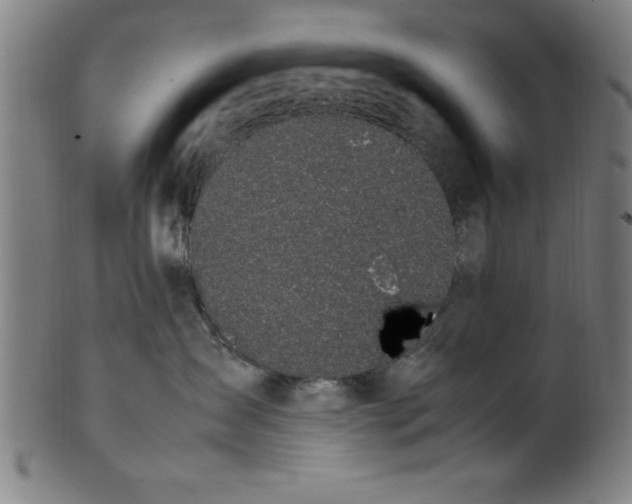 X0000099930431200806061458