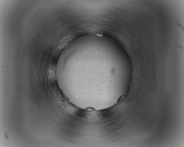 X0000099930432200806061458