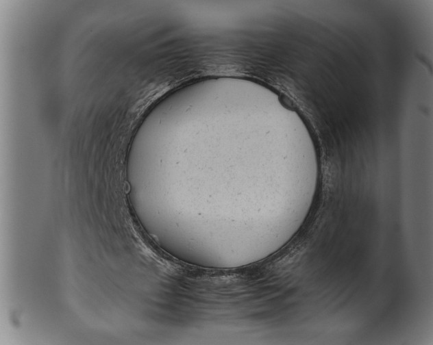 X0000099930433200806061458