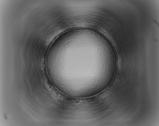 X0000099930434200806061458