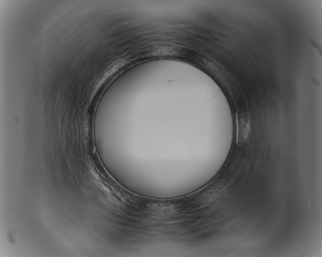 X0000099930435200806061458