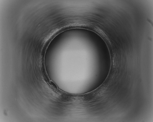 X0000099930436200806061458