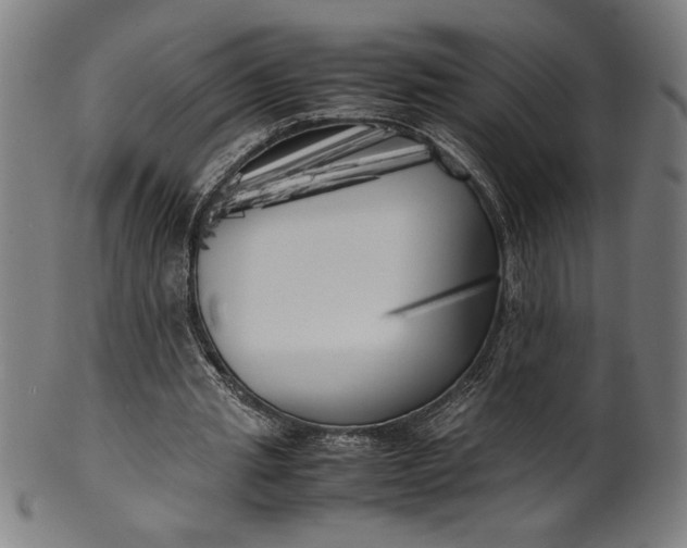 X0000099930437200806061458