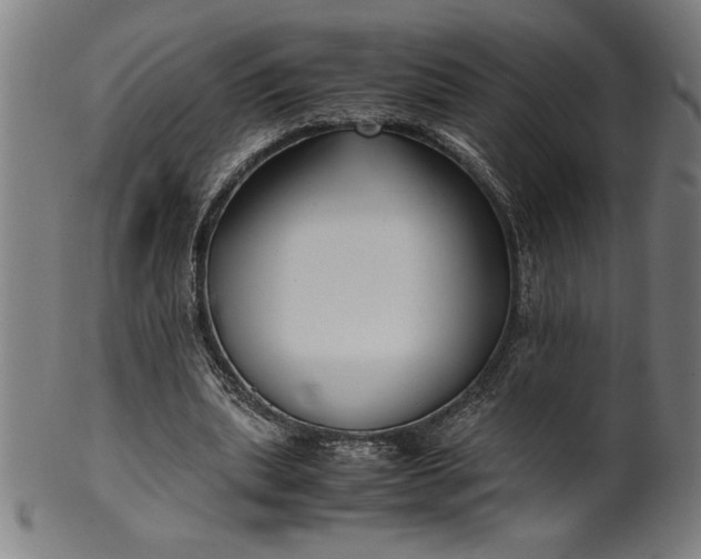 X0000099930439200806061458