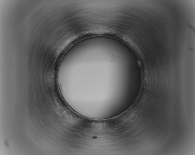 X0000099930440200806061458