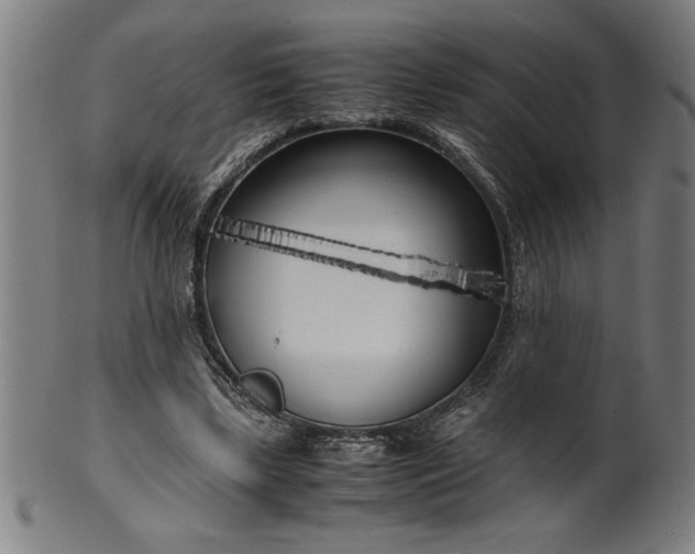 X0000099930443200806061458