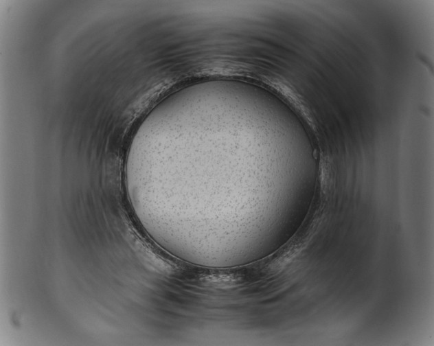 X0000099930445200806061458