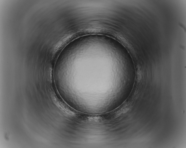 X0000099930446200806061458