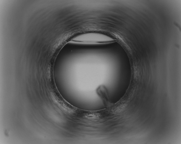 X0000099930447200806061458