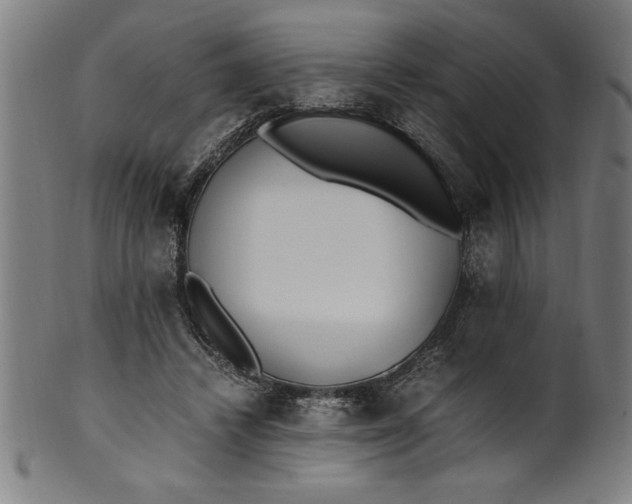 X0000099930448200806061458