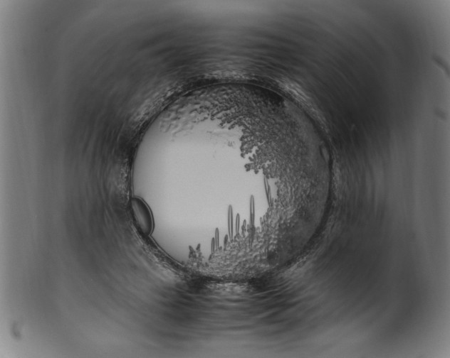 X0000099930449200806061458