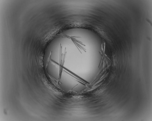 X0000099930450200806061458