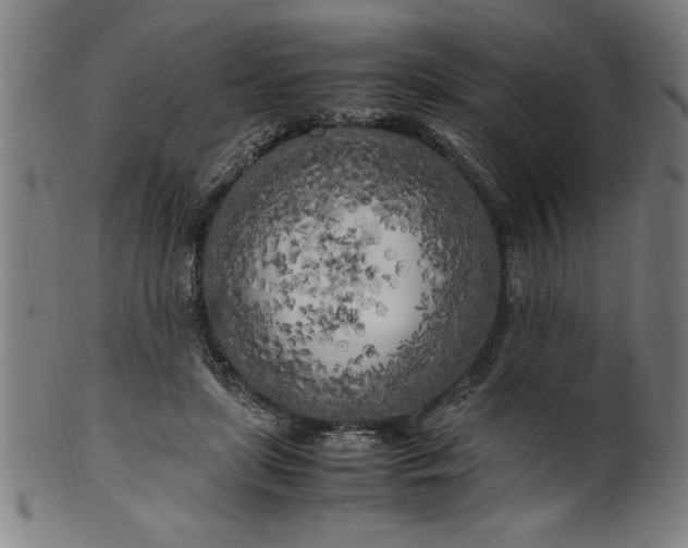 X0000099930451200806061458