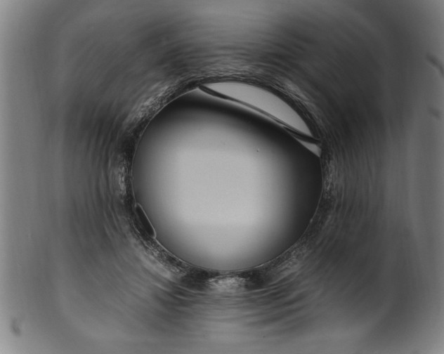 X0000099930452200806061458