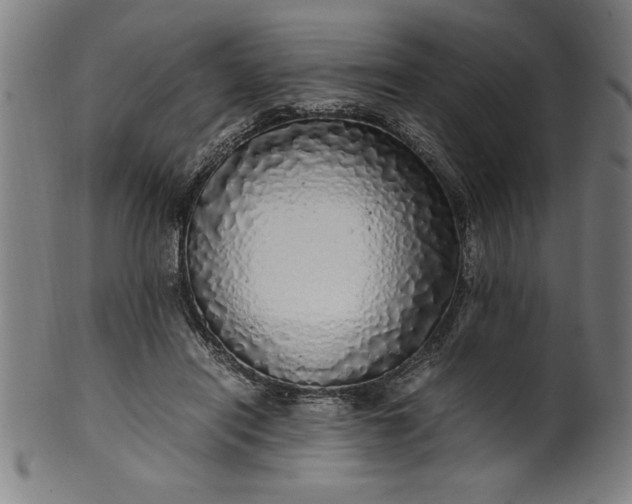 X0000099930454200806061458