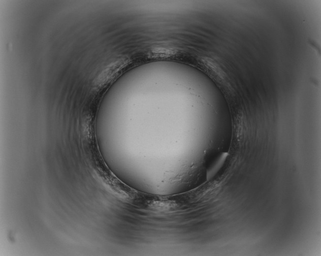 X0000099930455200806061458