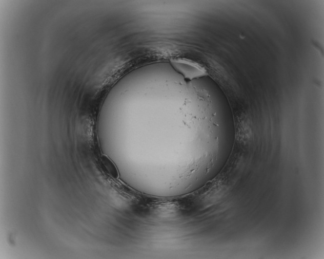 X0000099930456200806061458