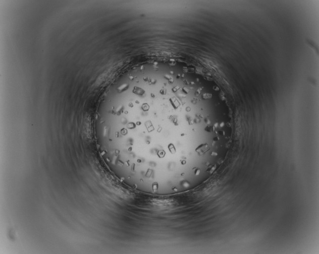 X0000099930457200806061458