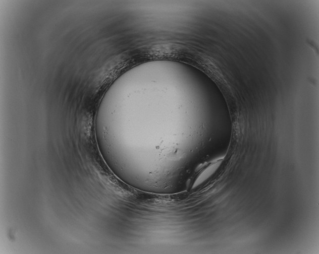 X0000099930458200806061458