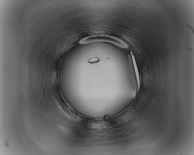 X0000099930459200806061458