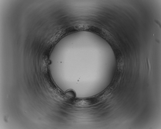 X0000099930460200806061458