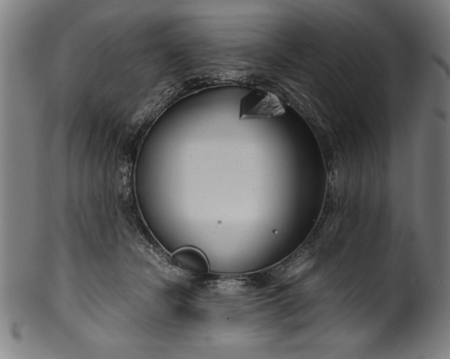 X0000099930462200806061458