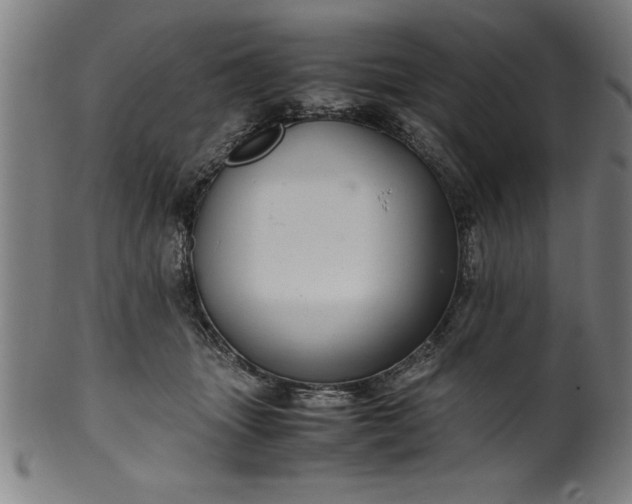 X0000099930463200806061458