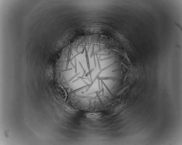 X0000099930465200806061458