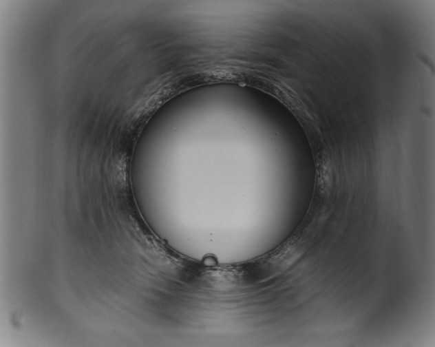 X0000099930466200806061458