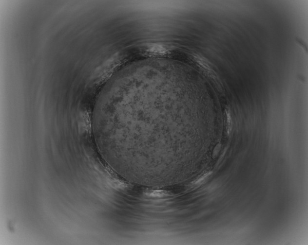 X0000099930467200806061458