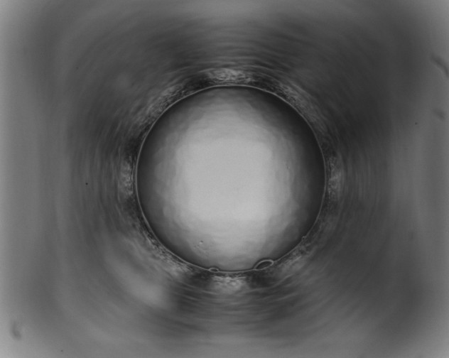 X0000099930469200806061458