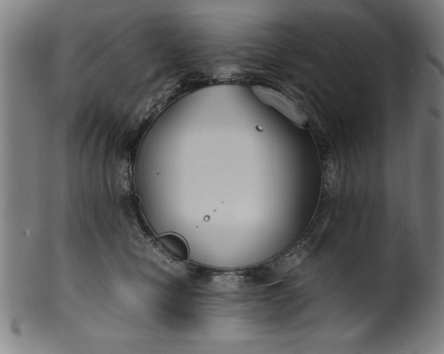 X0000099930470200806061458