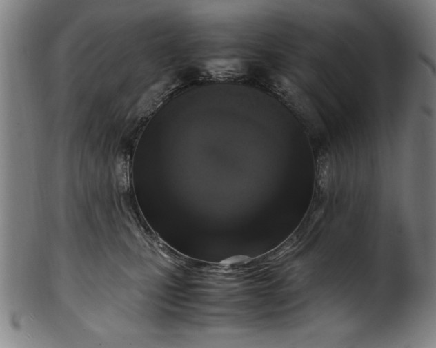 X0000099930471200806061458