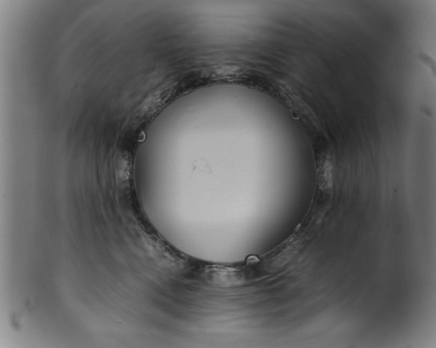 X0000099930472200806061458