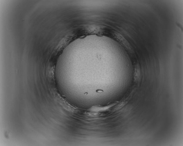 X0000099930473200806061458