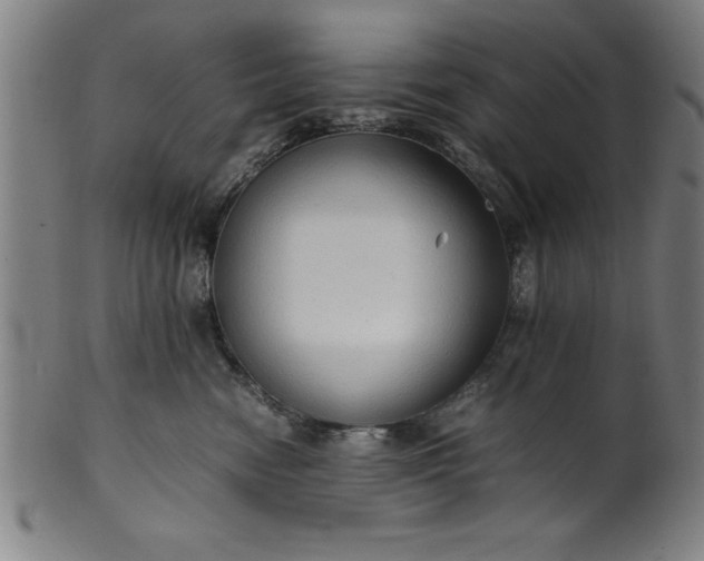 X0000099930474200806061458