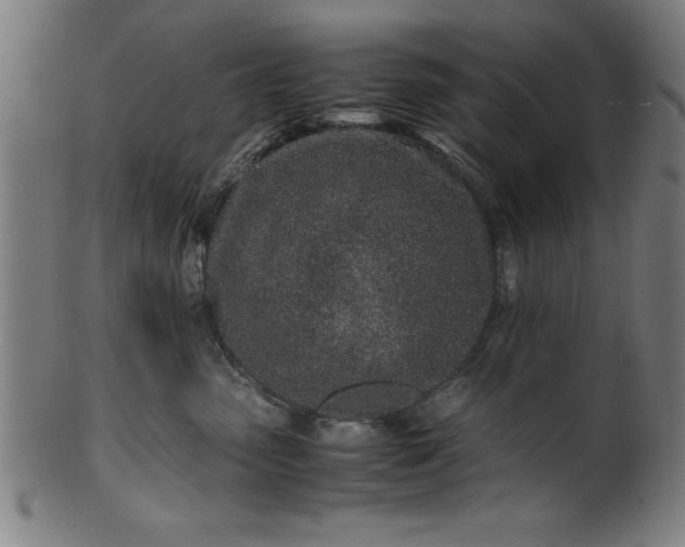 X0000099930475200806061458