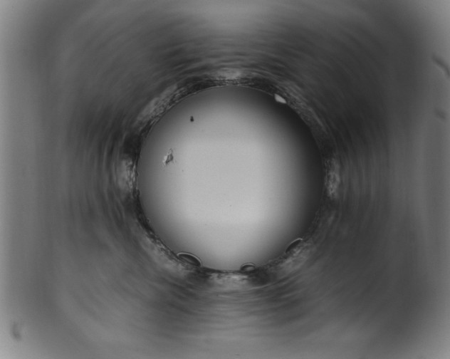 X0000099930476200806061458