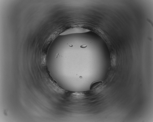 X0000099930477200806061458