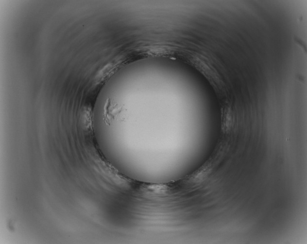 X0000099930478200806061458