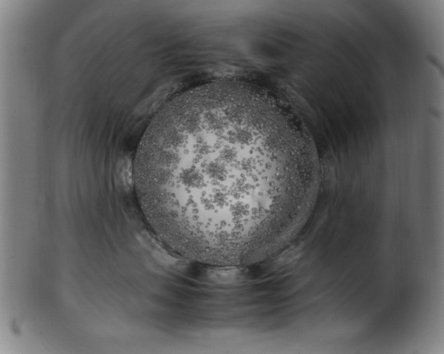 X0000099930479200806061458