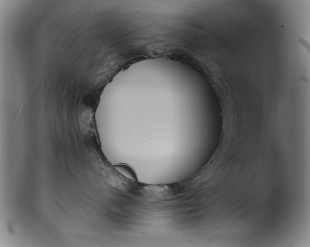 X0000099930480200806061458