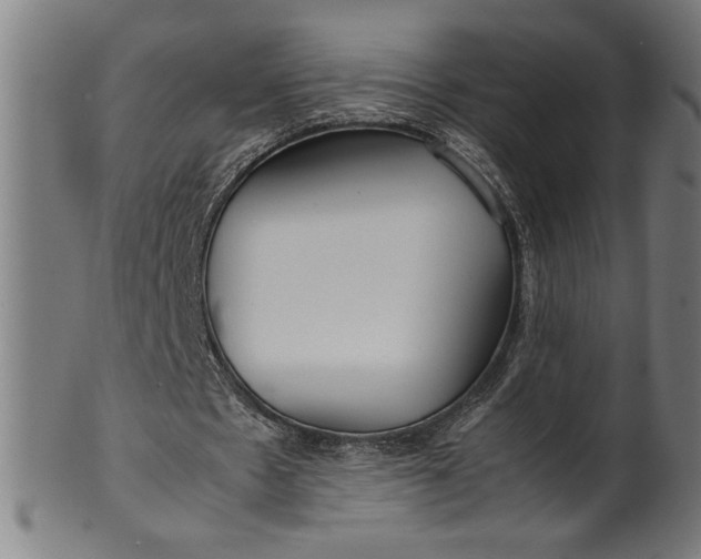 X0000099930481200806061458