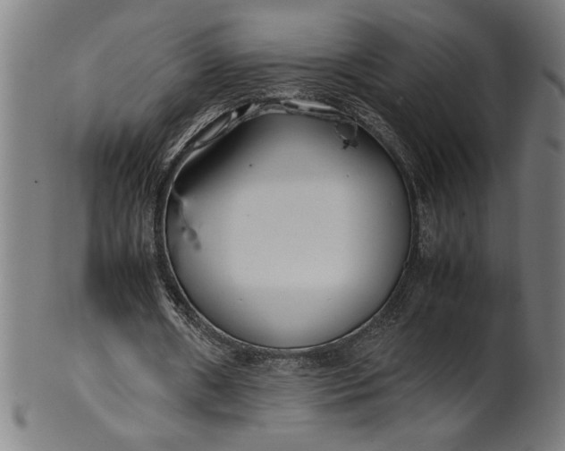 X0000099930482200806061457