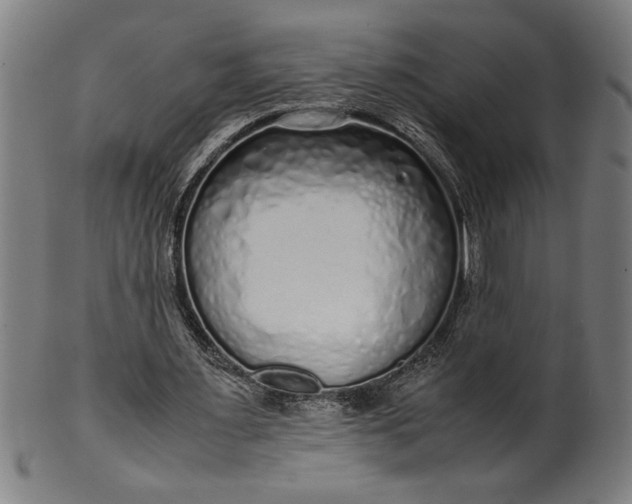 X0000099930483200806061457