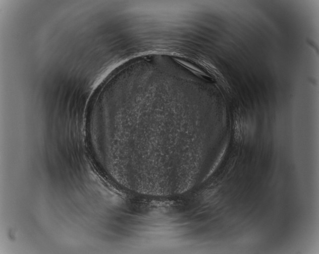 X0000099930484200806061457