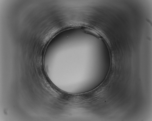 X0000099930485200806061457