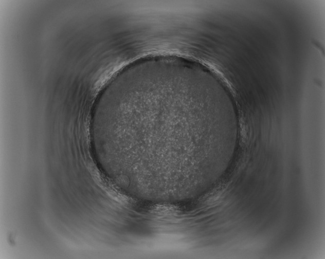 X0000099930487200806061457